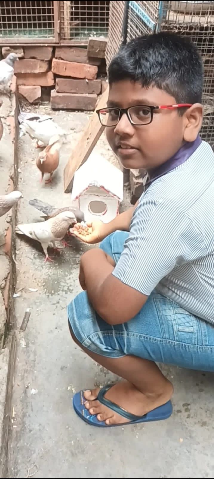 Handmade Bird Feeders